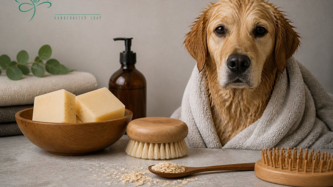 Natural Dog Shampoo Bar for Sensitive Pets: A Buyer's Guide